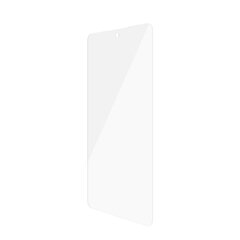 Apsauginis stiklas PanzerGlass skirtas Samsung Galaxy Xcover 5 цена и информация | Защитные пленки для телефонов | pigu.lt