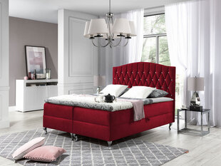 Kontinentinė lova Black Red White Puerto, raudona kaina ir informacija | Lovos | pigu.lt