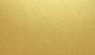 Vokai Curious Metalics DL (E65), 110x220 mm, 20 vnt, Super Gold цена и информация | Тетради и бумажные товары | pigu.lt
