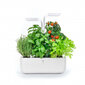 Veritable® Garden Classic kaina ir informacija | Daigyklos, lempos augalams | pigu.lt