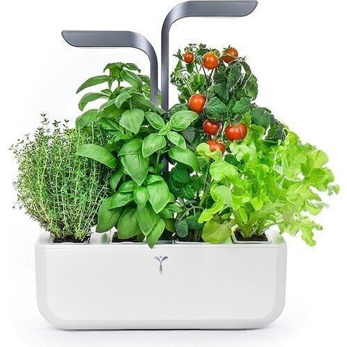 Veritable Connect Indoor Garden Infinity kaina ir informacija | Daigyklos, lempos augalams | pigu.lt