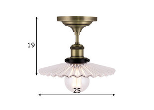 Globen Lighting lubinis šviestuvas Cobbler kaina ir informacija | Lubiniai šviestuvai | pigu.lt