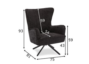 Fotelis Bob, juodas kaina ir informacija | Svetainės foteliai | pigu.lt