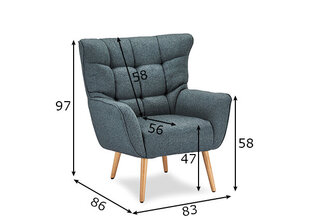 Fotelis Puk, pilkas kaina ir informacija | Svetainės foteliai | pigu.lt