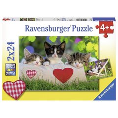 Пазл Ravensburger 2x24 шт., котята цена и информация | Пазлы | pigu.lt