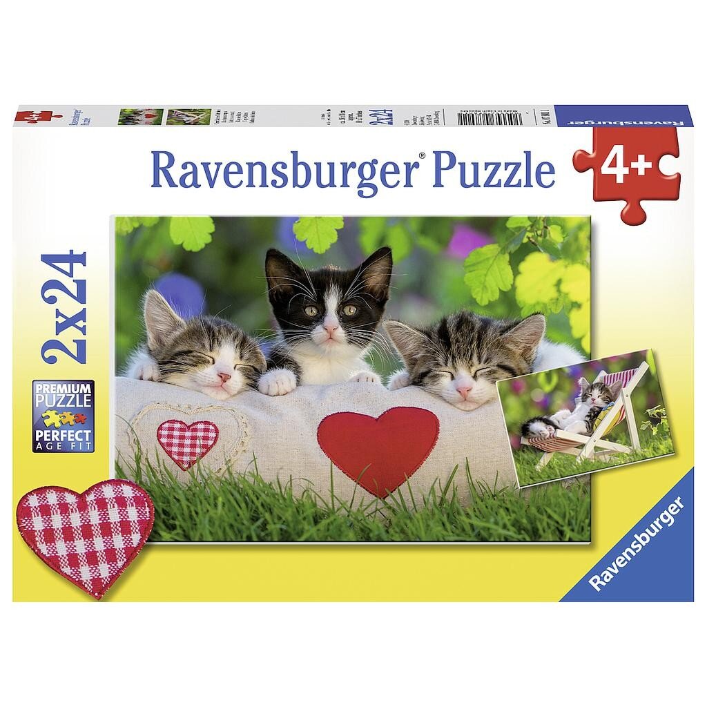 Dėlionių rinkinys Ravensburger Katės, 2x24 d. kaina ir informacija | Dėlionės (puzzle) | pigu.lt