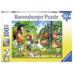 Dėlionė Ravensburger Gyvūnų susirinkimas, 100 d. kaina ir informacija | Dėlionės (puzzle) | pigu.lt