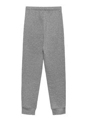 Champion мужские спортивные штаны, серые  907162864 цена и информация | Мужская спортивная одежда | pigu.lt
