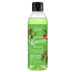 Drėkinamasis kaktusų šampūnas normaliems ir sausiems plaukams Barwa, 300ml kaina ir informacija | Šampūnai | pigu.lt