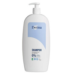Нежный шампунь для волос Derma Family Shampoo, 1000 мл цена и информация | Шампуни | pigu.lt