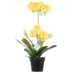 Dirbtinė Orchidėja Orchi Honey, 60 cm kaina ir informacija | Interjero detalės | pigu.lt