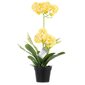 Dirbtinė Orchidėja Orchi Honey, 60 cm kaina ir informacija | Interjero detalės | pigu.lt