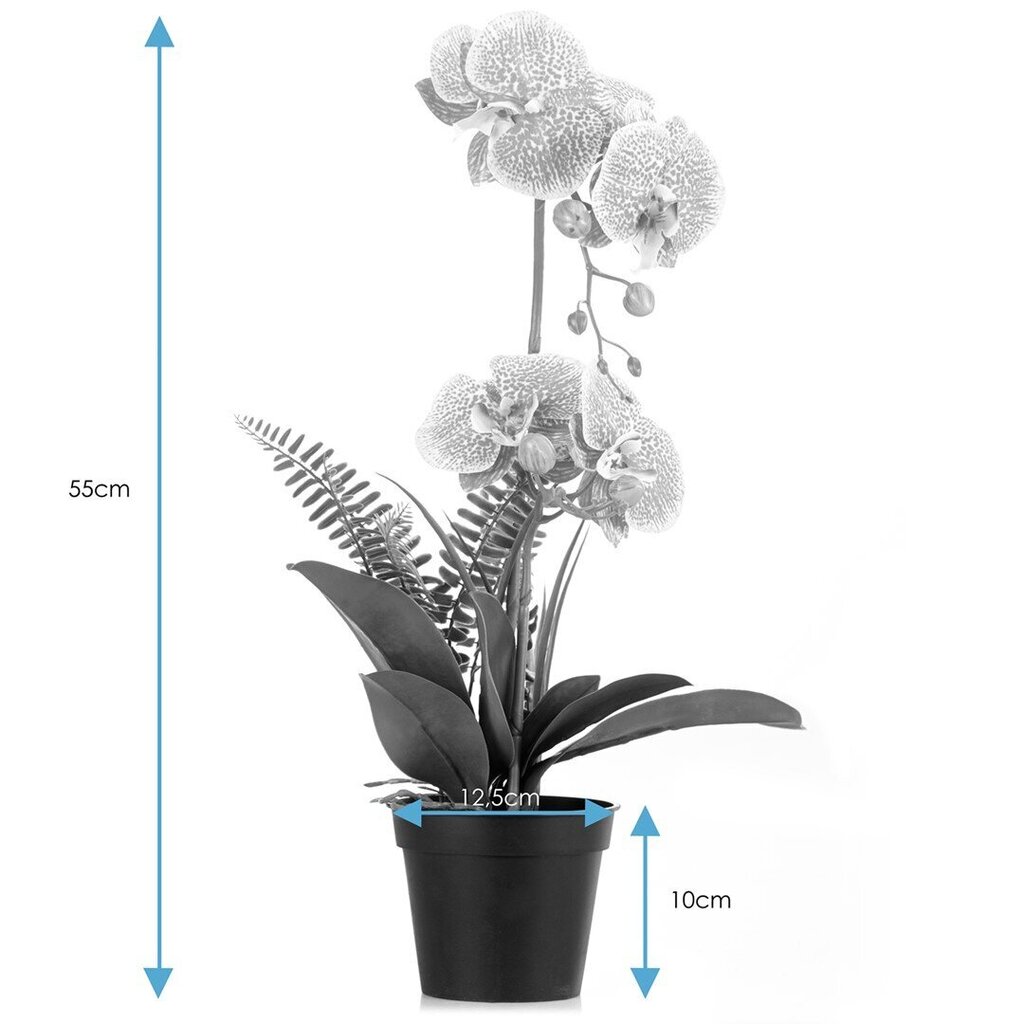 Dirbtinė Orchidėja Orchi Honey, 60 cm kaina ir informacija | Interjero detalės | pigu.lt