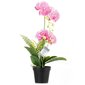 Dirbtinė Orchidėja Orchi Powderpink, 60 cm kaina ir informacija | Interjero detalės | pigu.lt