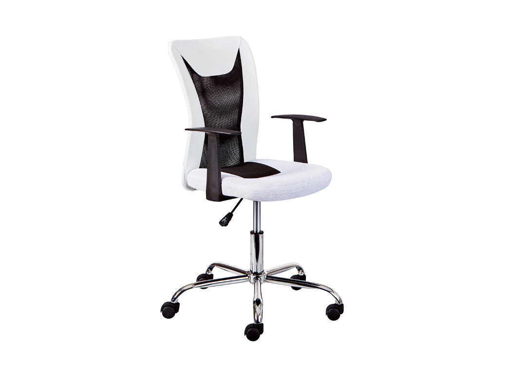 Biuro kėdė Interlink, balta/juoda kaina ir informacija | Biuro kėdės | pigu.lt