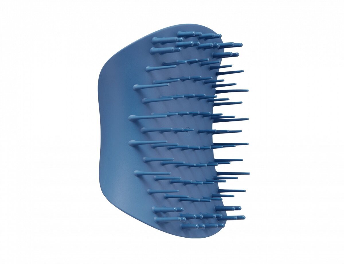 Plaukų šepetys Tangle Teezer The Scalp Exfoliator & Massager, Blue kaina ir informacija | Šepečiai, šukos, žirklės | pigu.lt