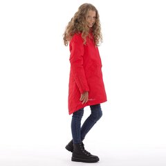 Куртка Huppa Vivian, красная, 12490020-70004 цена и информация | Зимняя одежда для детей | pigu.lt
