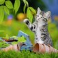 Dėlionė Ravensburger Kittens, 3x49 det. kaina ir informacija | Dėlionės (puzzle) | pigu.lt