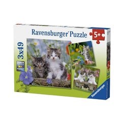 Пазл Ravensburger Kittens, 3x49 дет. цена и информация | Пазлы | pigu.lt