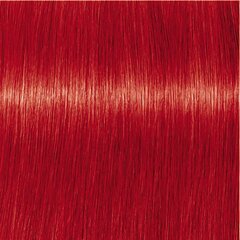 Raudonos spalvos saitus stiprinanti kaukė Schwarzkopf Professional Chromaid Red, 280 ml kaina ir informacija | Plaukų stiprinimo priemonės | pigu.lt