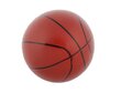 Krepšinio rinkinys vaikams: krepšinio stovas, oro pompa, kamuolys цена и информация | Žaislai berniukams | pigu.lt