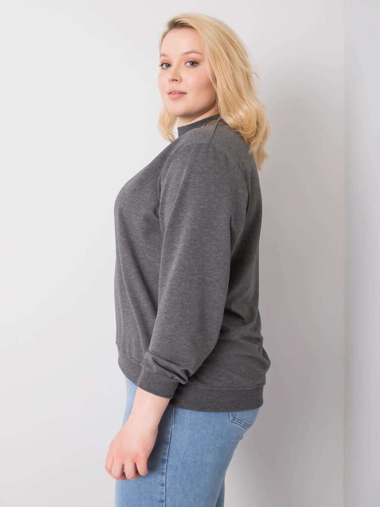 Džemperis moterims, pilkas цена и информация | Džemperiai moterims | pigu.lt