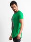 Marškinėliai vyrams, žali kaina ir informacija | Vyriški marškinėliai | pigu.lt