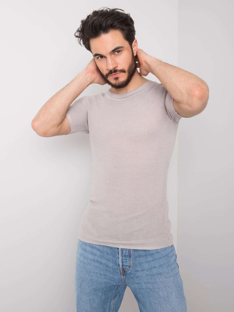Marškinėliai vyrams, pilki XL kaina ir informacija | Vyriški marškinėliai | pigu.lt