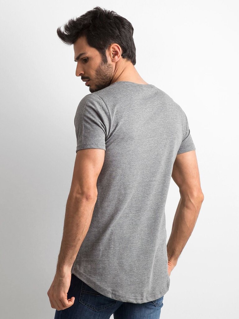 Marškinėliai vyrams, pilki цена и информация | Vyriški marškinėliai | pigu.lt