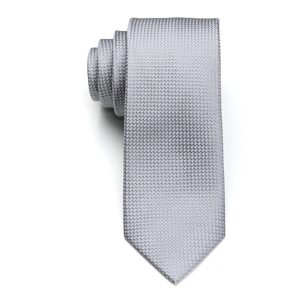 Kaklaraištis vyrams kaina ir informacija | Kaklaraiščiai, peteliškės | pigu.lt