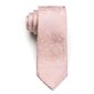 Kaklaraištis vyrams kaina ir informacija | Kaklaraiščiai, peteliškės | pigu.lt