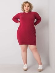 Бордовое платье больших размеров с длинными рукавами цена и информация | Платья | pigu.lt
