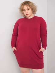 Бордовое платье больших размеров с длинными рукавами цена и информация | Платья | pigu.lt
