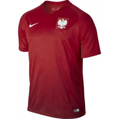 Спортивная футболка для мужчин Nike Poland Away Stadium M 724633611, красная цена и информация | Футболка мужская | pigu.lt