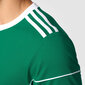 Futbolo marškinėliai vyrams Adidas Squadra 17, žali kaina ir informacija | Futbolo apranga ir kitos prekės | pigu.lt