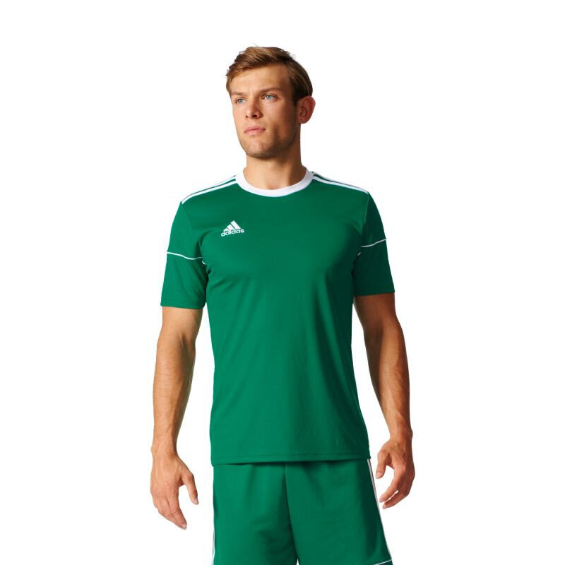 Futbolo marškinėliai vyrams Adidas Squadra 17, žali kaina ir informacija | Futbolo apranga ir kitos prekės | pigu.lt