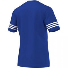 Мужская футболка Adidas Entrada 14 M F50491, синяя цена и информация | Мужская спортивная одежда | pigu.lt
