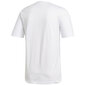 Marškinėliai vyrams Adidas Essentials Linear Tee M DQ3056, balti цена и информация | Vyriški marškinėliai | pigu.lt
