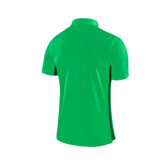 Мужская футболка Nike Dry Academy18 Football Polo M 899984361, зеленая цена и информация | Мужская спортивная одежда | pigu.lt