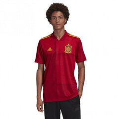 Мужская футболка Adidas Spain Home JSY M FR8361, красная цена и информация | Мужские футболки | pigu.lt