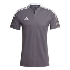 Мужская футболка Adidas Tiro 21 Polo M GM7364, серая цена и информация | Мужская спортивная одежда | pigu.lt