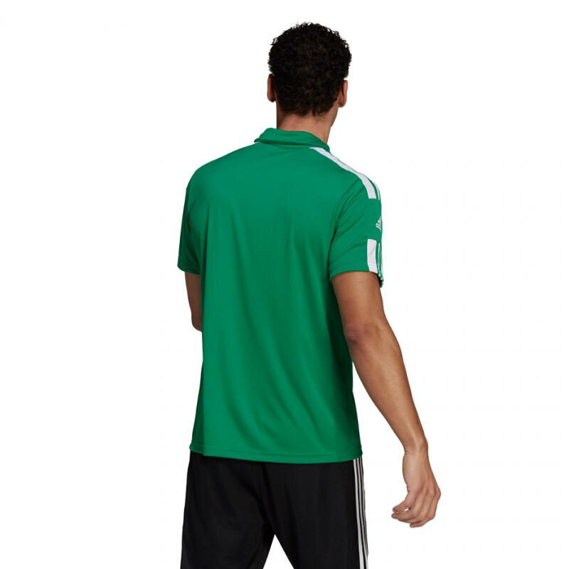 Vyriški marškinėliai Adidas Squadra 21 Polo GP6430, žali цена и информация | Sportinė apranga vyrams | pigu.lt