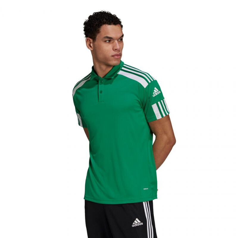 Vyriški marškinėliai Adidas Squadra 21 Polo GP6430, žali цена и информация | Sportinė apranga vyrams | pigu.lt