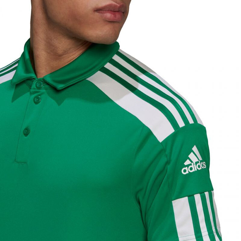 Vyriški marškinėliai Adidas Squadra 21 Polo GP6430, žali цена и информация | Sportinė apranga vyrams | pigu.lt