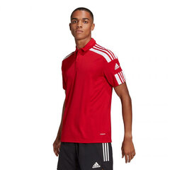 Sportiniai marškinėliai vyrams Adidas Squadra 21 Polo M GP6429, raudoni kaina ir informacija | Sportinė apranga vyrams | pigu.lt