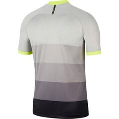 Marškinėliai vyrams Nike CW1308-090 kaina ir informacija | Vyriški marškinėliai | pigu.lt
