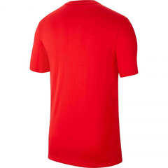 Nike мужская футболка JR Dri Fit Park 20 CW6941, красная цена и информация | Рубашка для мальчиков | pigu.lt