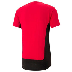 Sportiniai marškinėliai vyrams Puma AC Milan Evostripe Tee M 758615 01, raudoni kaina ir informacija | Vyriški marškinėliai | pigu.lt