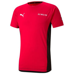 Sportiniai marškinėliai vyrams Puma AC Milan Evostripe Tee M 758615 01, raudoni kaina ir informacija | Vyriški marškinėliai | pigu.lt