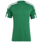 Marškinėliai vyrams Adidas Squadra 21 JSY M GN5721, žali kaina ir informacija | Vyriški marškinėliai | pigu.lt